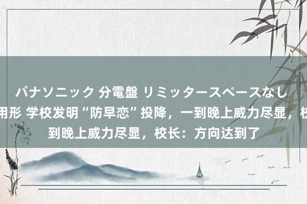 パナソニック 分電盤 リミッタースペースなし 露出・半埋込両用形 学校发明“防早恋”投降，一到晚上威力尽显，校长：方向达到了