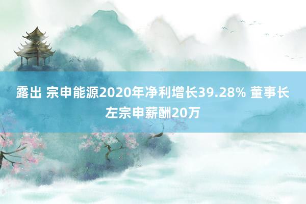 露出 宗申能源2020年净利增长39.28% 董事长左宗申薪酬20万