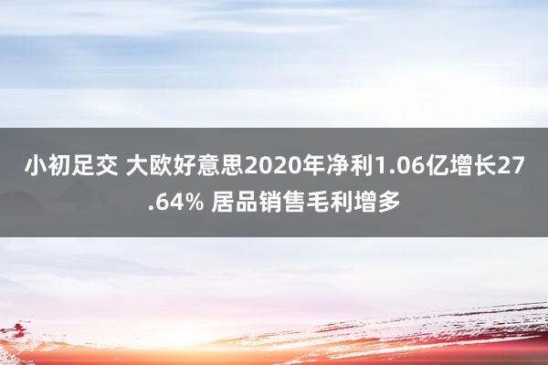 小初足交 大欧好意思2020年净利1.06亿增长27.64% 居品销售毛利增多