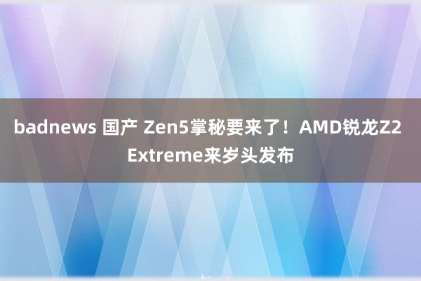 badnews 国产 Zen5掌秘要来了！AMD锐龙Z2 Extreme来岁头发布