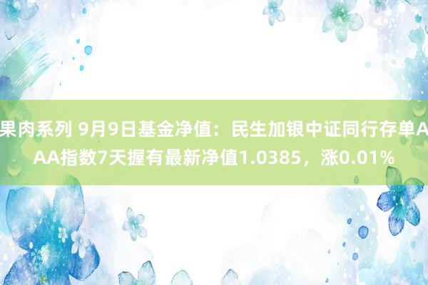 果肉系列 9月9日基金净值：民生加银中证同行存单AAA指数7天握有最新净值1.0385，涨0.01%