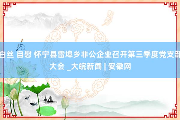 白丝 自慰 怀宁县雷埠乡非公企业召开第三季度党支部大会 _大皖新闻 | 安徽网