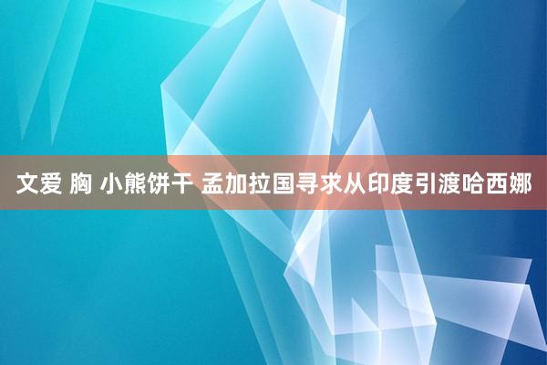 文爱 胸 小熊饼干 孟加拉国寻求从印度引渡哈西娜