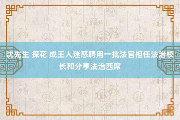 沈先生 探花 成王人迷惑聘用一批法官担任法治校长和分享法治西席