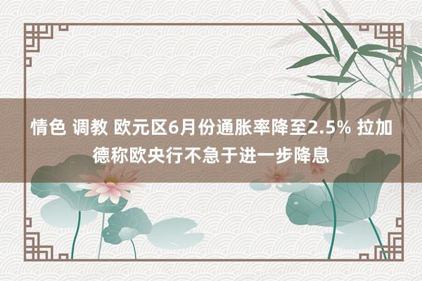 情色 调教 欧元区6月份通胀率降至2.5% 拉加德称欧央行不急于进一步降息