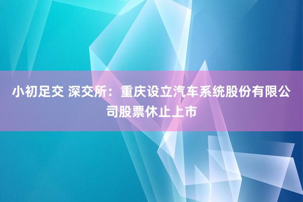 小初足交 深交所：重庆设立汽车系统股份有限公司股票休止上市