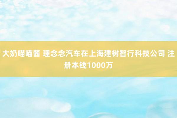 大奶喵喵酱 理念念汽车在上海建树智行科技公司 注册本钱1000万