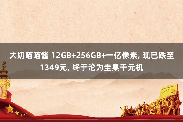 大奶喵喵酱 12GB+256GB+一亿像素， 现已跌至1349元， 终于沦为圭臬千元机