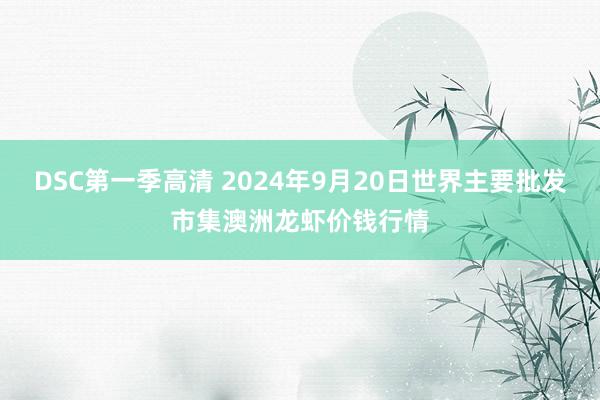 DSC第一季高清 2024年9月20日世界主要批发市集澳洲龙虾价钱行情