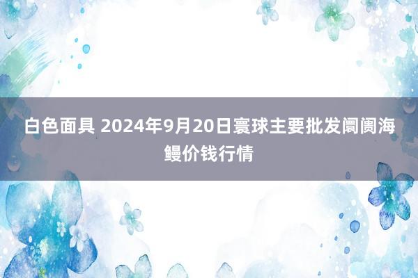 白色面具 2024年9月20日寰球主要批发阛阓海鳗价钱行情