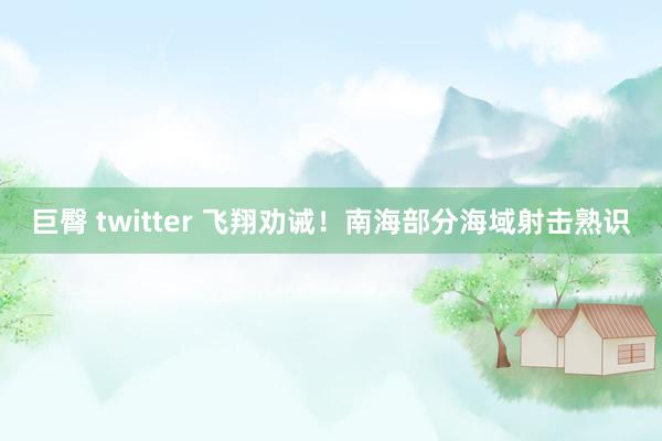 巨臀 twitter 飞翔劝诫！南海部分海域射击熟识