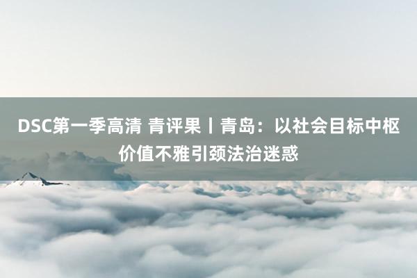 DSC第一季高清 青评果丨青岛：以社会目标中枢价值不雅引颈法治迷惑