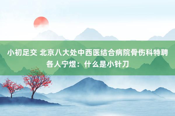 小初足交 北京八大处中西医结合病院骨伤科特聘各人宁煜：什么是小针刀