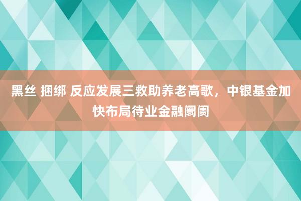 黑丝 捆绑 反应发展三救助养老高歌，中银基金加快布局待业金融阛阓