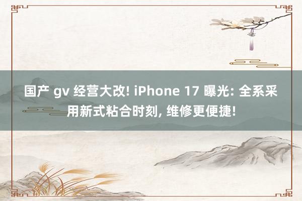 国产 gv 经营大改! iPhone 17 曝光: 全系采用新式粘合时刻， 维修更便捷!