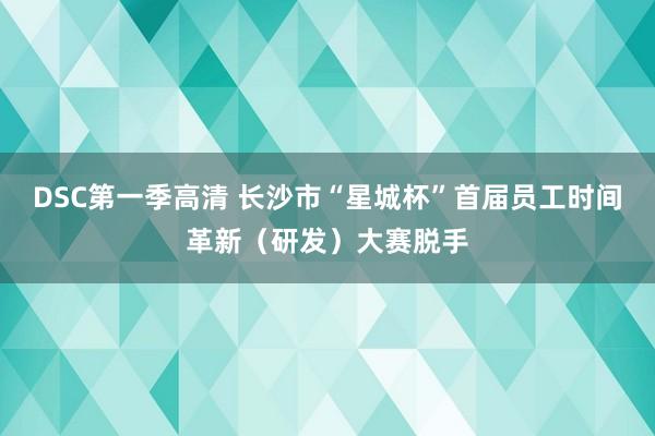 DSC第一季高清 长沙市“星城杯”首届员工时间革新（研发）大赛脱手