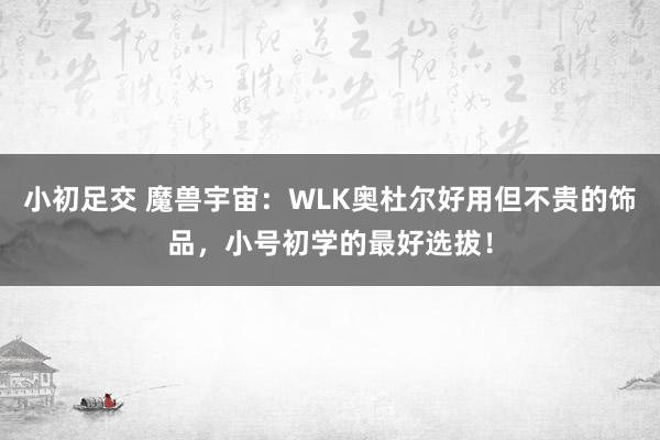 小初足交 魔兽宇宙：WLK奥杜尔好用但不贵的饰品，小号初学的最好选拔！