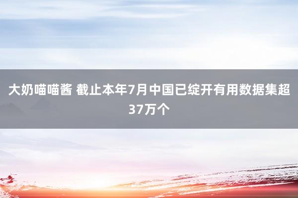 大奶喵喵酱 截止本年7月中国已绽开有用数据集超37万个