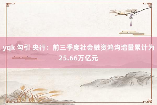 yqk 勾引 央行：前三季度社会融资鸿沟增量累计为25.66万亿元