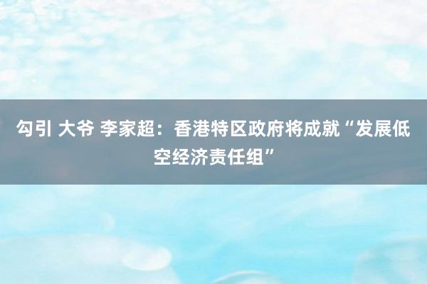 勾引 大爷 李家超：香港特区政府将成就“发展低空经济责任组”