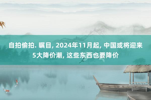 自拍偷拍. 瞩目， 2024年11月起， 中国或将迎来5大降价潮， 这些东西也要降价