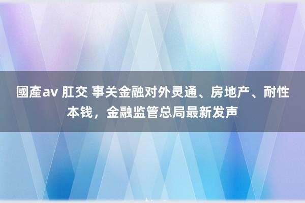 國產av 肛交 事关金融对外灵通、房地产、耐性本钱，金融监管总局最新发声