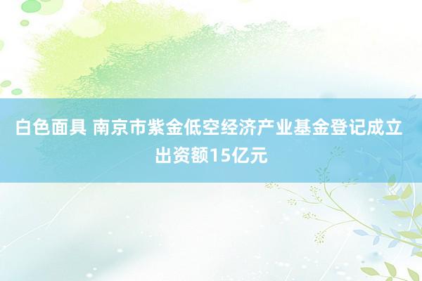 白色面具 南京市紫金低空经济产业基金登记成立 出资额15亿元