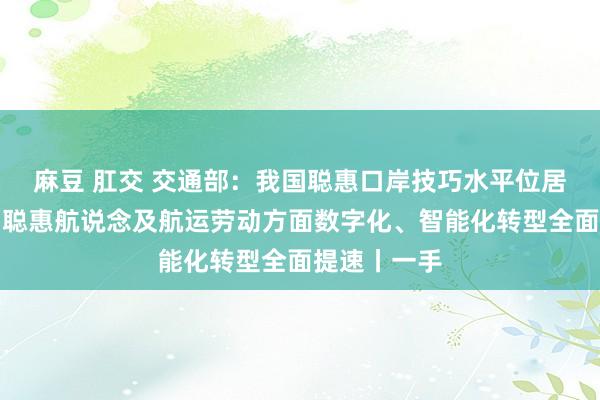 麻豆 肛交 交通部：我国聪惠口岸技巧水平位居海外前哨，聪惠航说念及航运劳动方面数字化、智能化转型全面提速丨一手