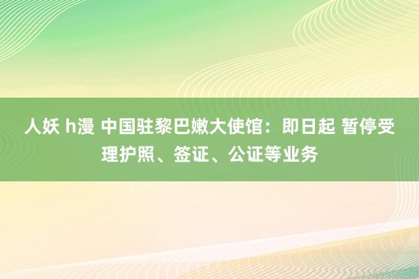 人妖 h漫 中国驻黎巴嫩大使馆：即日起 暂停受理护照、签证、公证等业务