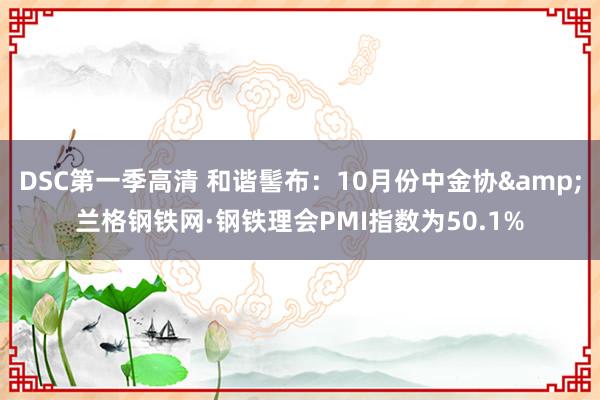 DSC第一季高清 和谐髻布：10月份中金协&兰格钢铁网·钢铁理会PMI指数为50.1%