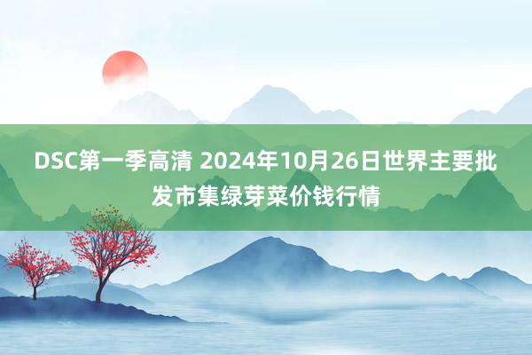 DSC第一季高清 2024年10月26日世界主要批发市集绿芽菜价钱行情