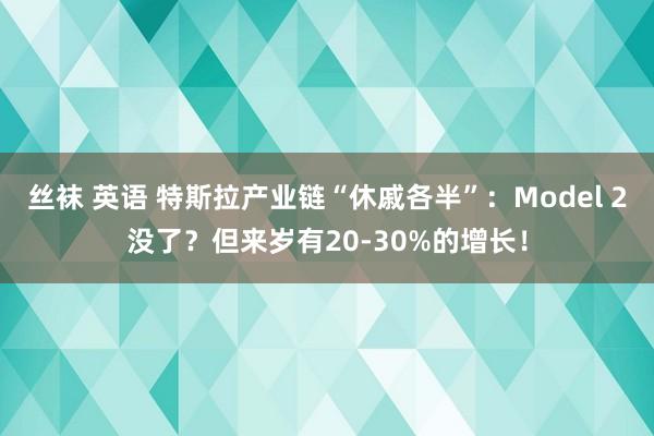 丝袜 英语 特斯拉产业链“休戚各半”：Model 2没了？但来岁有20-30%的增长！