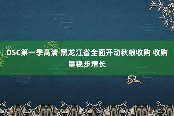 DSC第一季高清 黑龙江省全面开动秋粮收购 收购量稳步增长