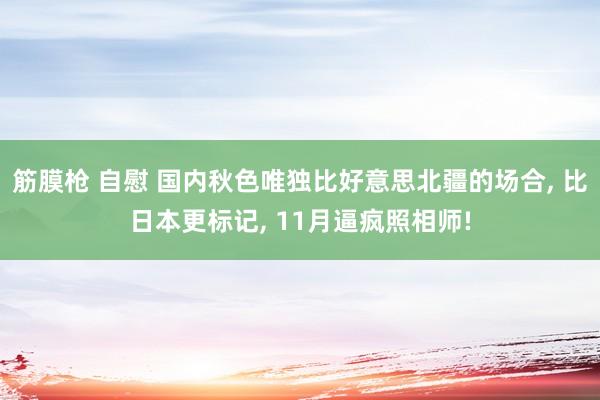 筋膜枪 自慰 国内秋色唯独比好意思北疆的场合， 比日本更标记， 11月逼疯照相师!