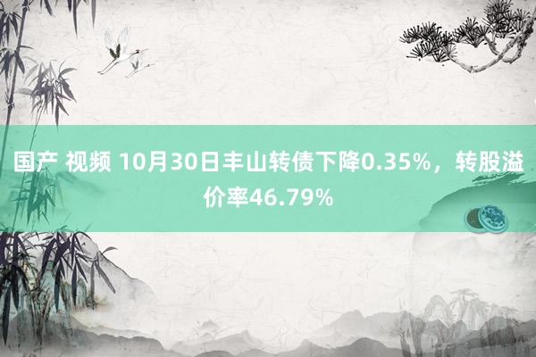 国产 视频 10月30日丰山转债下降0.35%，转股溢价率46.79%