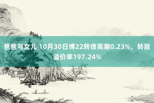 爸爸与女儿 10月30日博22转债高潮0.23%，转股溢价率197.24%