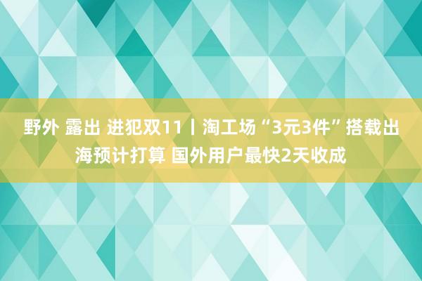 野外 露出 进犯双11丨淘工场“3元3件”搭载出海预计打算 国外用户最快2天收成