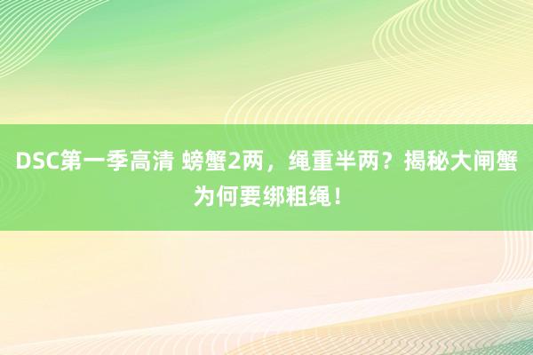 DSC第一季高清 螃蟹2两，绳重半两？揭秘大闸蟹为何要绑粗绳！