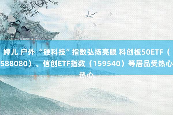 婷儿 户外 “硬科技”指数弘扬亮眼 科创板50ETF（588080）、信创ETF指数（159540）等居品受热心