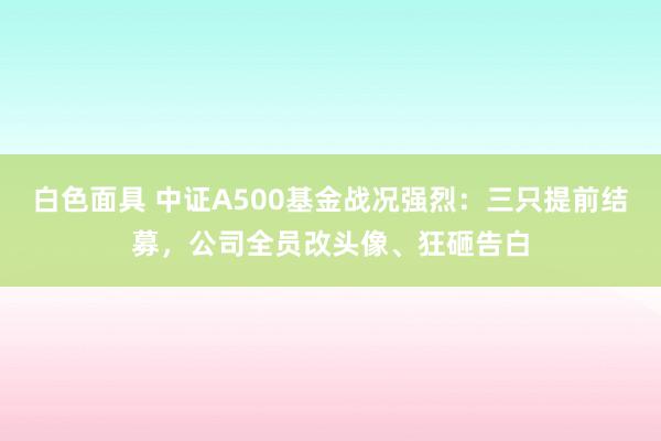 白色面具 中证A500基金战况强烈：三只提前结募，公司全员改头像、狂砸告白