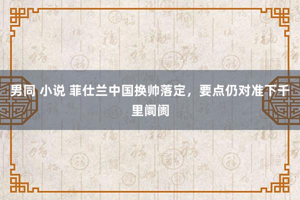 男同 小说 菲仕兰中国换帅落定，要点仍对准下千里阛阓