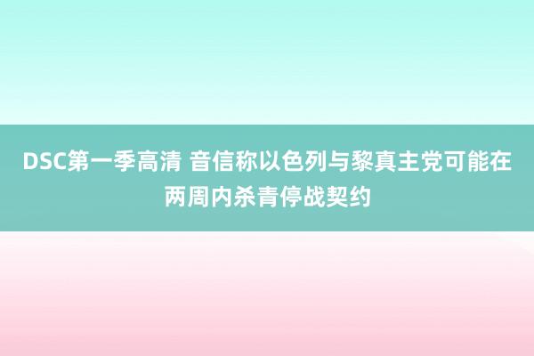 DSC第一季高清 音信称以色列与黎真主党可能在两周内杀青停战契约