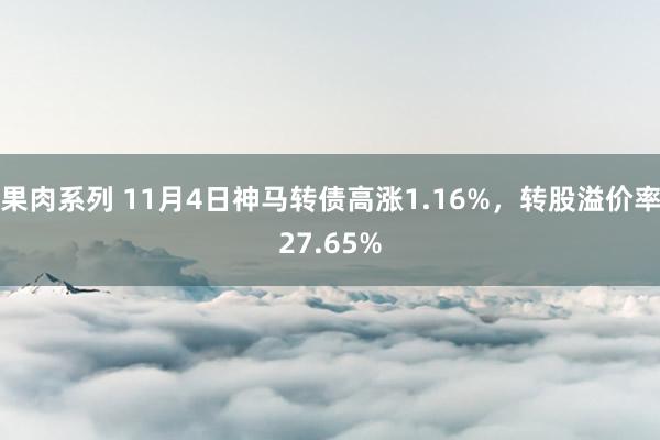 果肉系列 11月4日神马转债高涨1.16%，转股溢价率27.65%