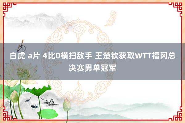 白虎 a片 4比0横扫敌手 王楚钦获取WTT福冈总决赛男单冠军