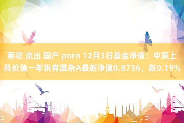 菊花 流出 国产 porn 12月3日基金净值：中原上风价值一年执有羼杂A最新净值0.8736，跌0.19%