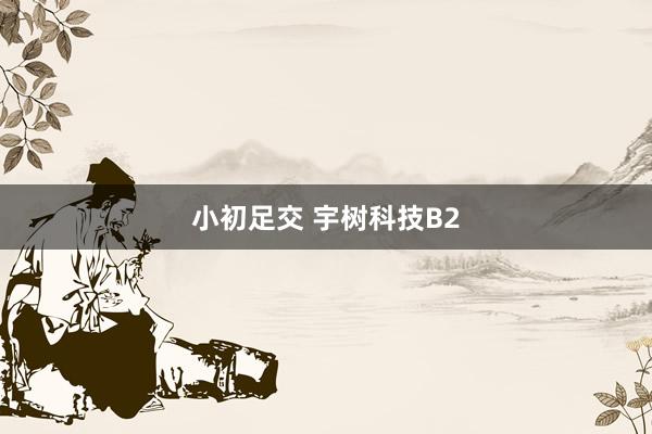 小初足交 宇树科技B2