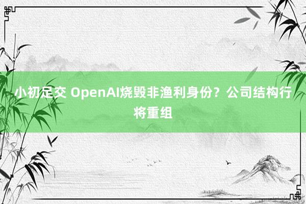 小初足交 OpenAI烧毁非渔利身份？公司结构行将重组