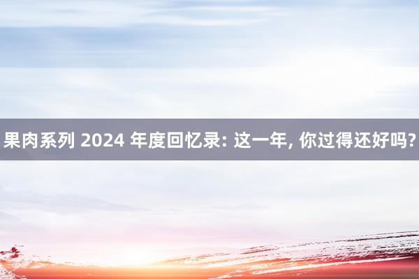 果肉系列 2024 年度回忆录: 这一年， 你过得还好吗?