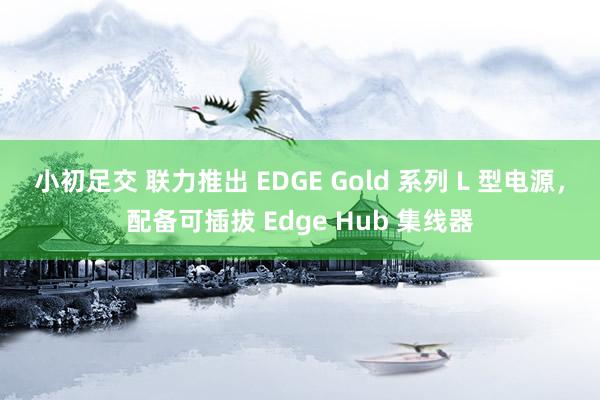 小初足交 联力推出 EDGE Gold 系列 L 型电源，配备可插拔 Edge Hub 集线器