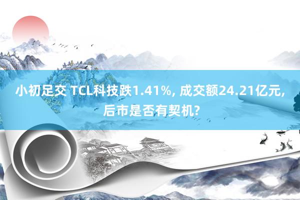 小初足交 TCL科技跌1.41%， 成交额24.21亿元， 后市是否有契机?